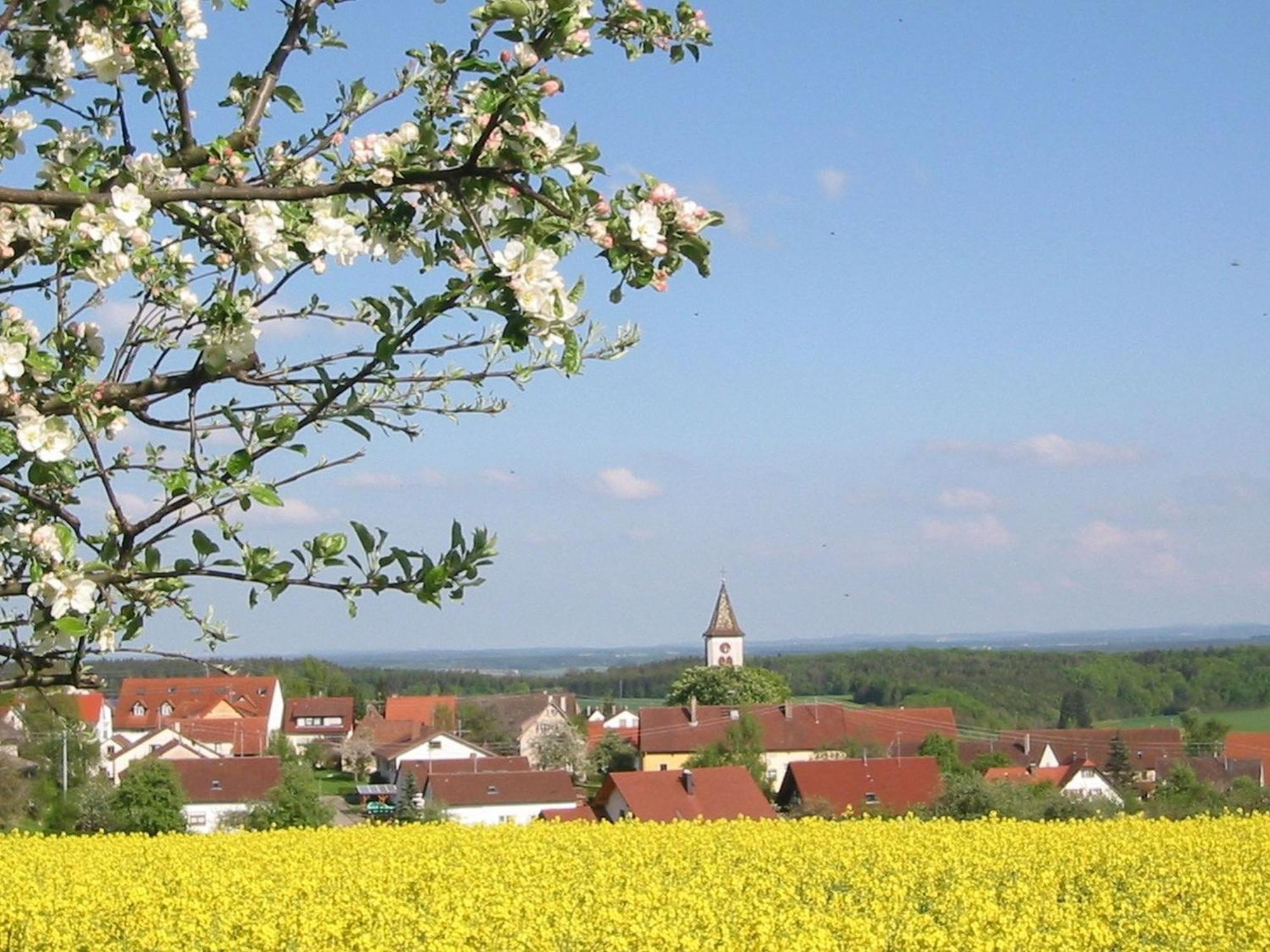 Villa Kleine Auszeit Thalheim  Esterno foto